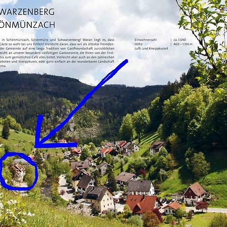 Adieu Alltag: Pension Oesterle Im Schwarzwald Schonmunzach Екстер'єр фото