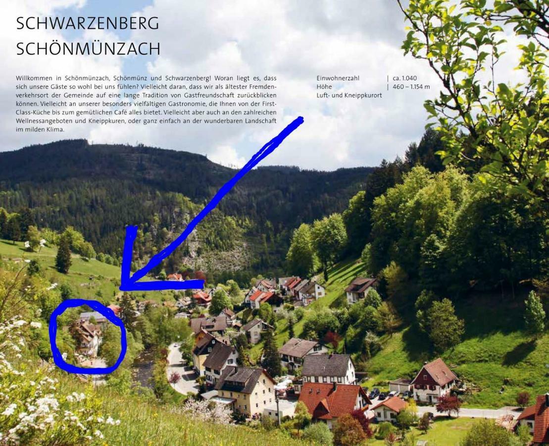 Adieu Alltag: Pension Oesterle Im Schwarzwald Schonmunzach Екстер'єр фото