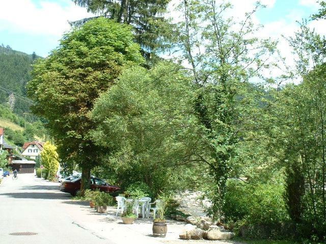 Adieu Alltag: Pension Oesterle Im Schwarzwald Schonmunzach Екстер'єр фото