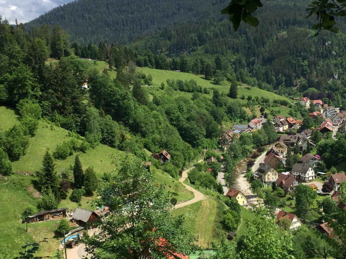 Adieu Alltag: Pension Oesterle Im Schwarzwald Schonmunzach Екстер'єр фото
